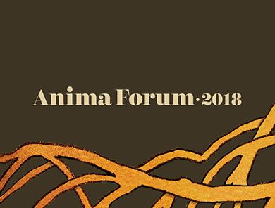 Anima Forum 2018 traça desafios do mercado de animação do País